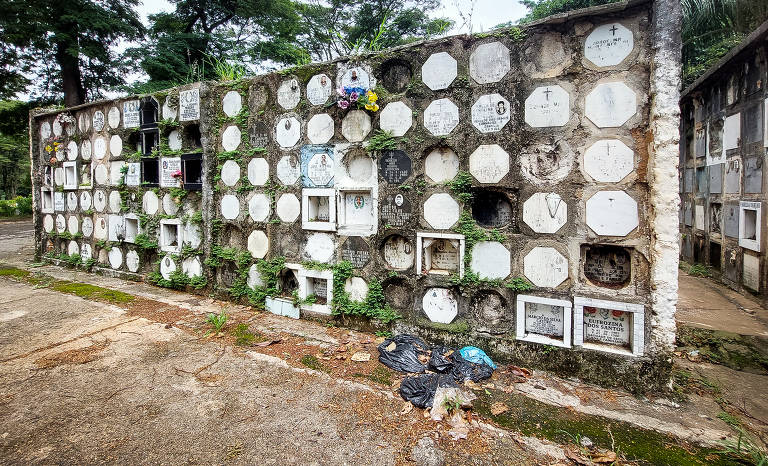 Cemitérios de São Paulo ainda têm falhas de zeladoria após primeiro ano de concessão
