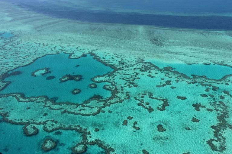Grande Barreira de Corais da Austrália está em processo de deterioração em massa