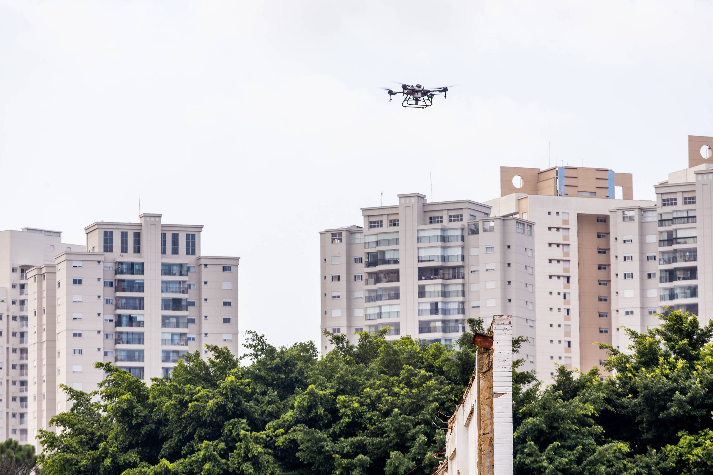 SP-Rathaus setzt Drohnen zur Verbreitung von Larviziden und zur Bekämpfung des Dengue-Fiebers ein – 09.03.2024 – Rathaus von Sao Paulo