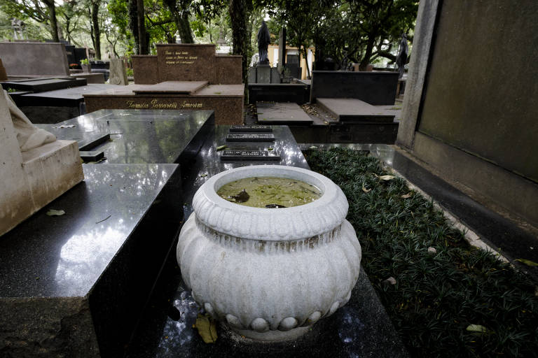 Cemitério da Consolação, no centro de São Paulo, tem água parada em vasos de pedra ou concreto e nichos para plantas em túmulos