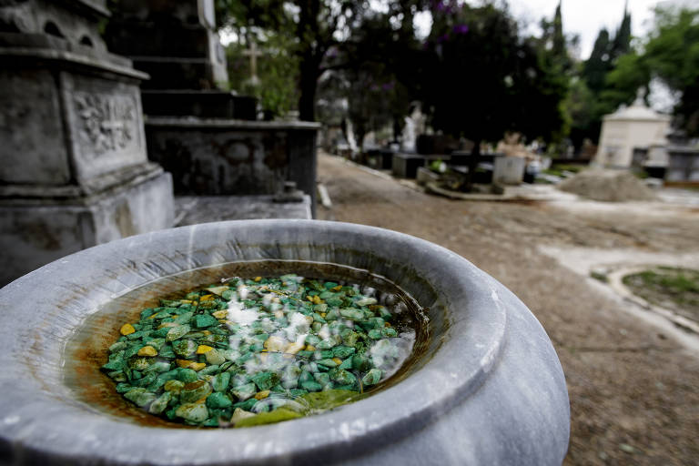 Cemitério da Consolação, no centro de São Paulo, tem água parada em vasos de pedra ou concreto e nichos para plantas em túmulos