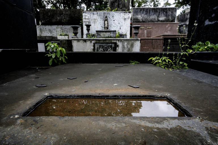 Cemitério São Paulo, em Pinheiros, na zona oeste, tem água parada em vasos de flores e em estruturas dos túmulos