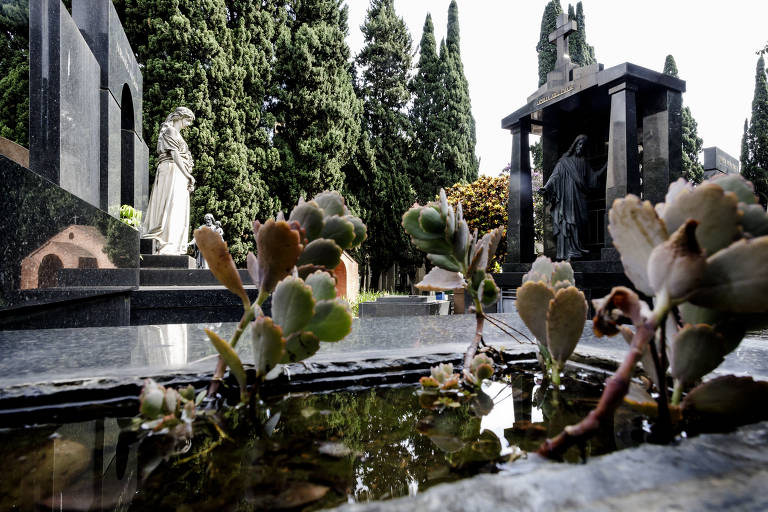 Cemitérios de São Paulo têm pontos de água parada que facilitam proliferação do mosquito da dengue