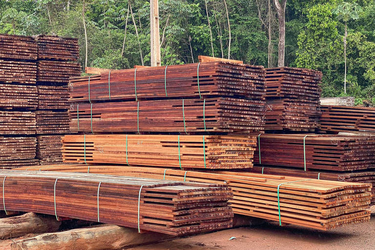 Projeto de madeira apoiado por Alcolumbre e Randolfe tem empresa multada e atropelo no Incra