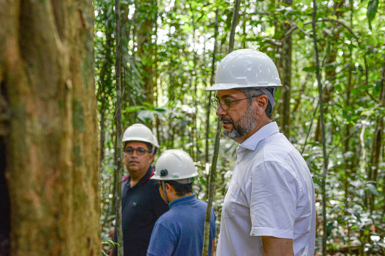 MPF investiga projeto de madeira no Amapá e pede abertura de inquérito na Polícia Federal