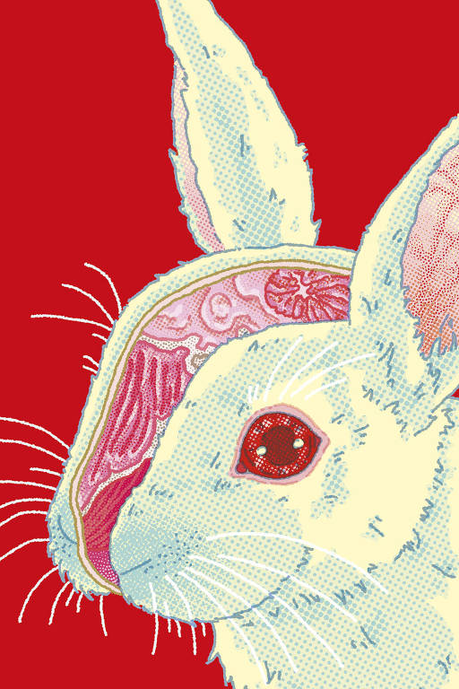 Capa do livro 'Coelho Maldito' tem fundo vermelho e ilustração de um coelho branco cujo rosto cortado revela um pedaço de seu cérebro