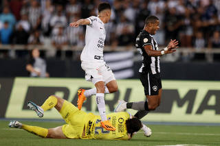 Brasileiro Championship - Botafogo v Corinthians
