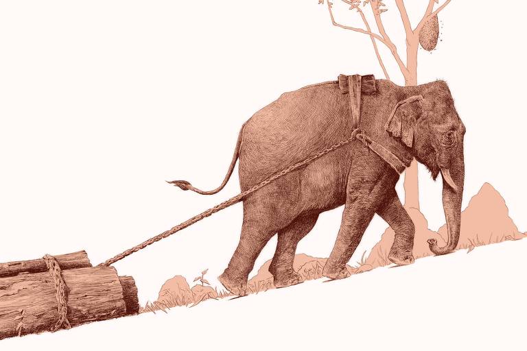 ilustração de elefante carregando madeira morro acima com uma corda