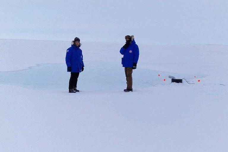 Mudança climática: o plano 'maluco' para salvar o gelo marinho do Ártico
