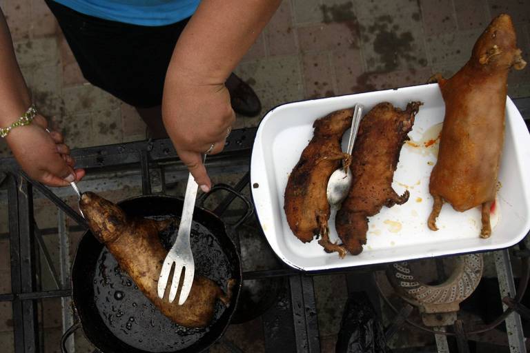 Mulher andina cozinha 'cuy', ou porquinhos-da-índia, durante um festival de porquinhos-da-índia em Huacho, norte de Lima