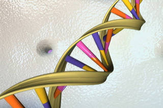 FILE PHOTO: A DNA double helix in an undated artist's illustration released by the National Human Genome Research Institute to Reuters