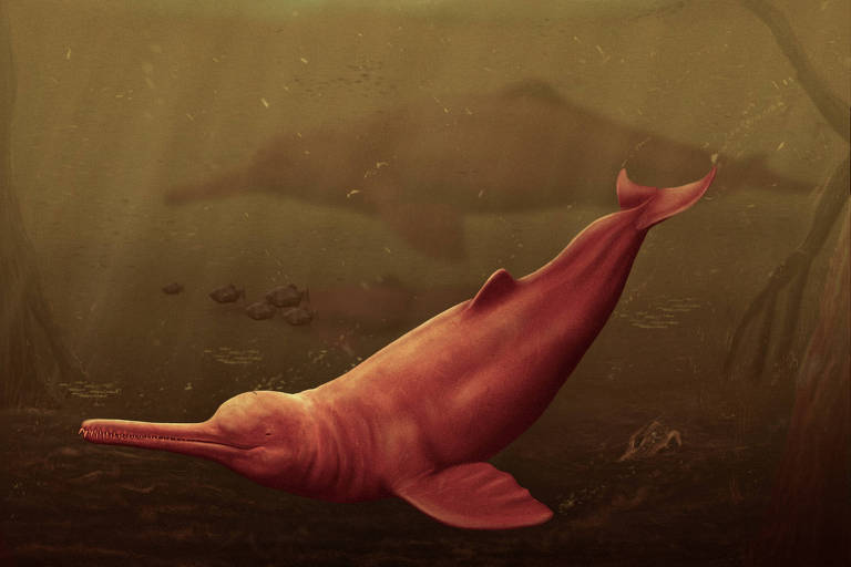 ilustraçãocom dois golfinhos dentro da água, um deles está à frente do outro, em destaque
