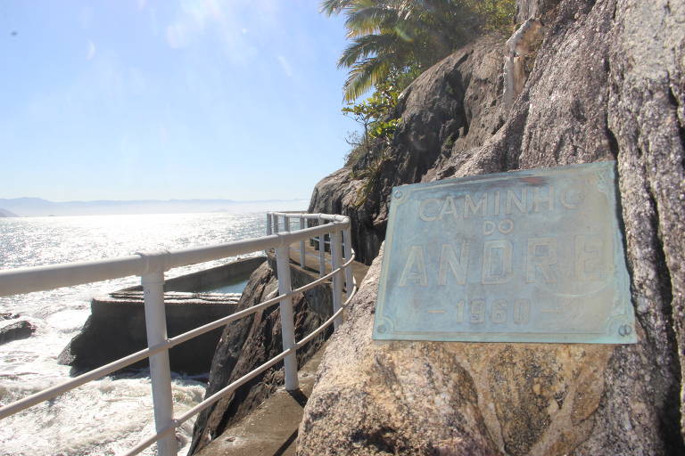 A Ilha dos Arvoredos foi uma concessão da Marinha ao engenheiro e ambientalista paulistano Fernando Eduardo Lee, entre as décadas de 1950 e 1960