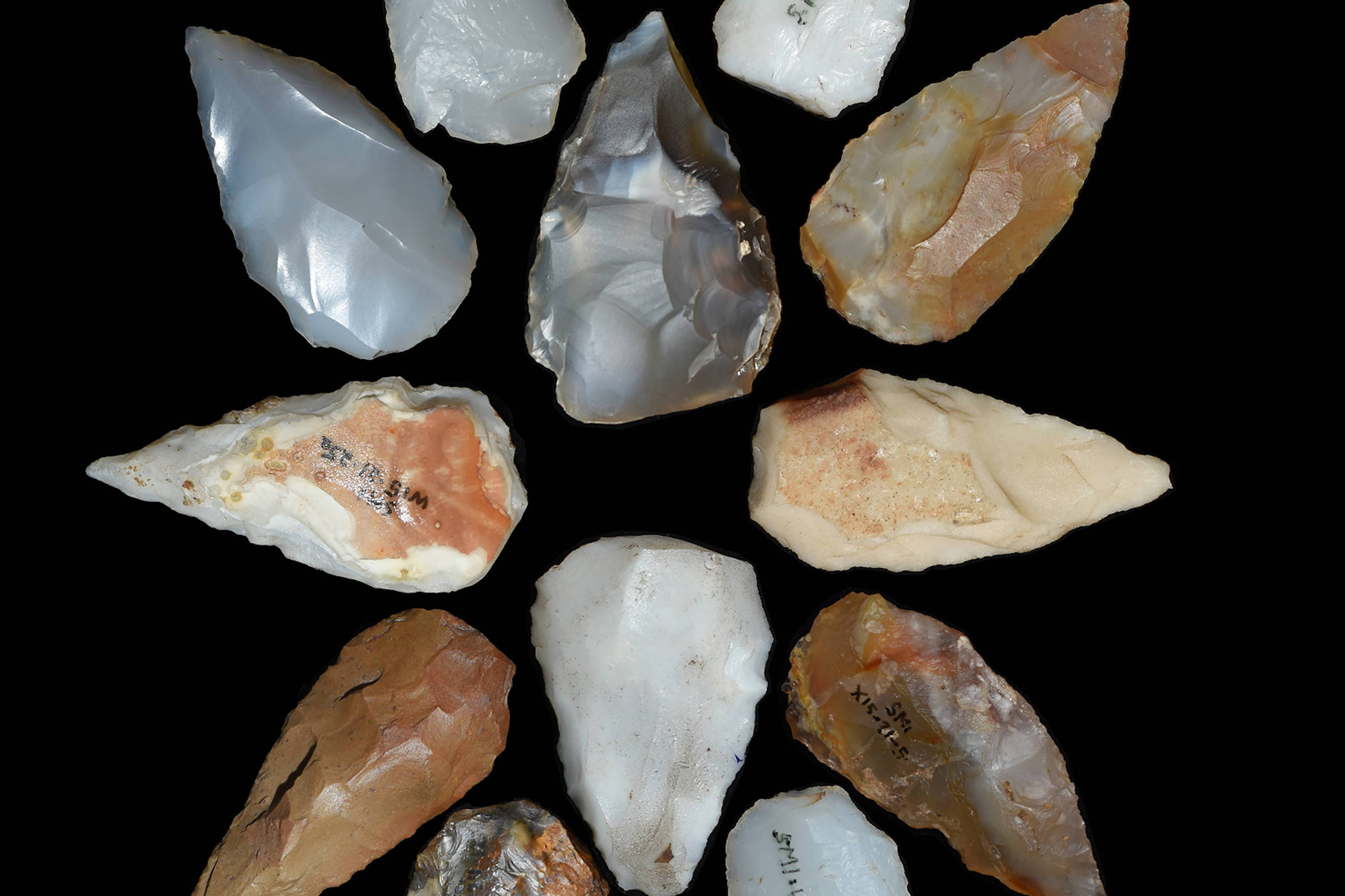 Un tesoro fósil de 74.000 años revela humanos adaptables – 24/03/2024 – Ciencia