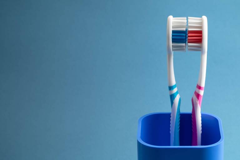 Duas escovas de dente frente a frente no mesmo pote