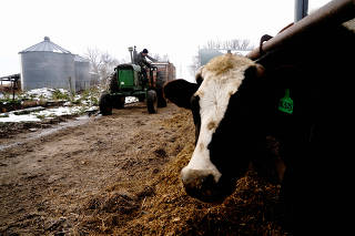 FILE PHOTO: Derrydale Farm in Belle Plaine, Minnesota as Biden campaign pushes for rural voters