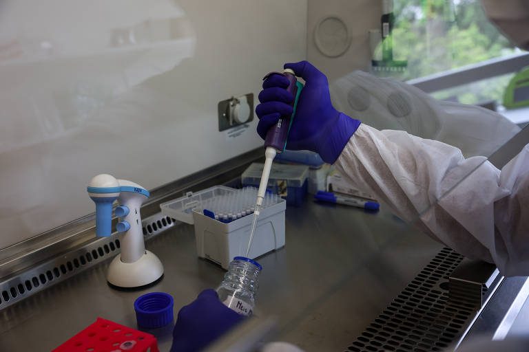 Pasteur em SP vai estudar minicérebros com zika para ver ação neurológica do vírus