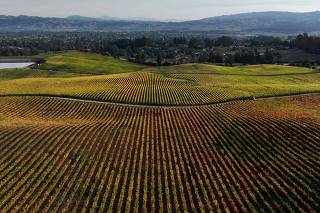 Autumnal Colors On Display In Sonoma County's Wine Region