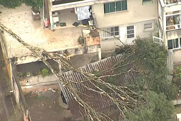 foto aérea mostra árvore caída sobre uma casa com dois andares, um telhado e outra residência