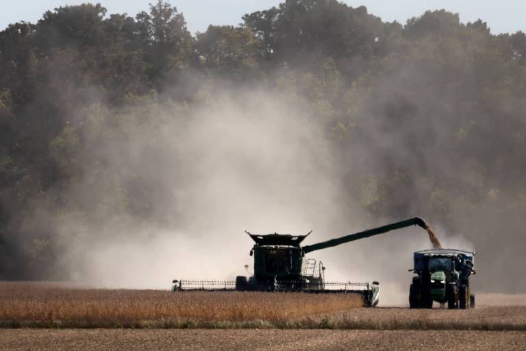 Intenção de plantio de grãos nos EUA não muda cenário de preços
