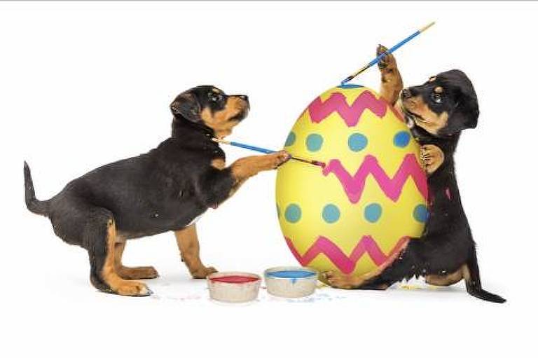 Dois cachorros brincam de pitnar ovo de Páscoa