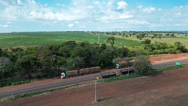 Ambientalistas criticam uso de estrada de área de proteção do pantanal para transporte de madeira