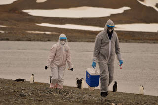 FILE PHOTO: Researchers wearing protective suits collect samples of wildlife, where the H5N1 bird flu virus was detected, at the Chilean Antarctic Territory, Antarctica