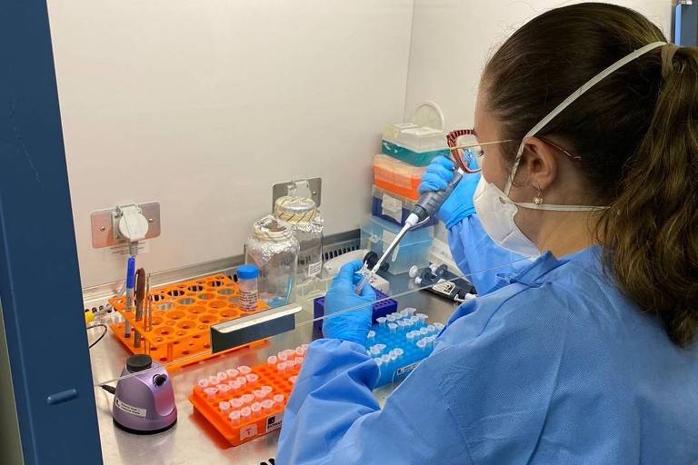 Vacina de DNA contra zika apresenta bons resultados em testes com camundongos