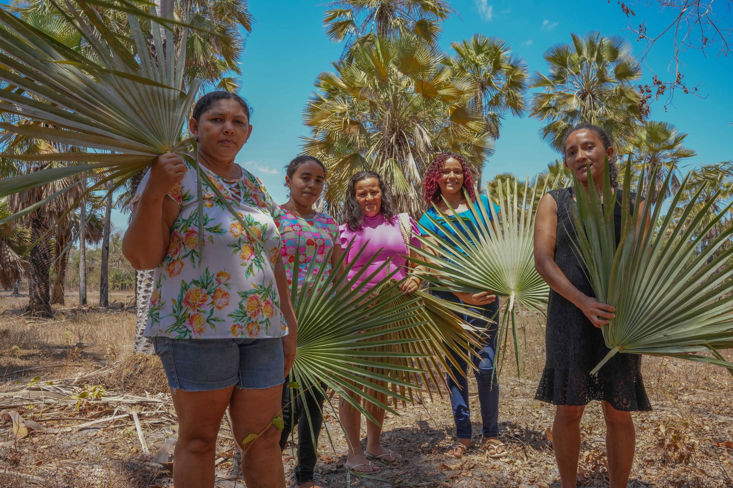 A Brazilian Export for Nearly 180 Years, Carnauba Wax Breathes Easier with End of Surcharge