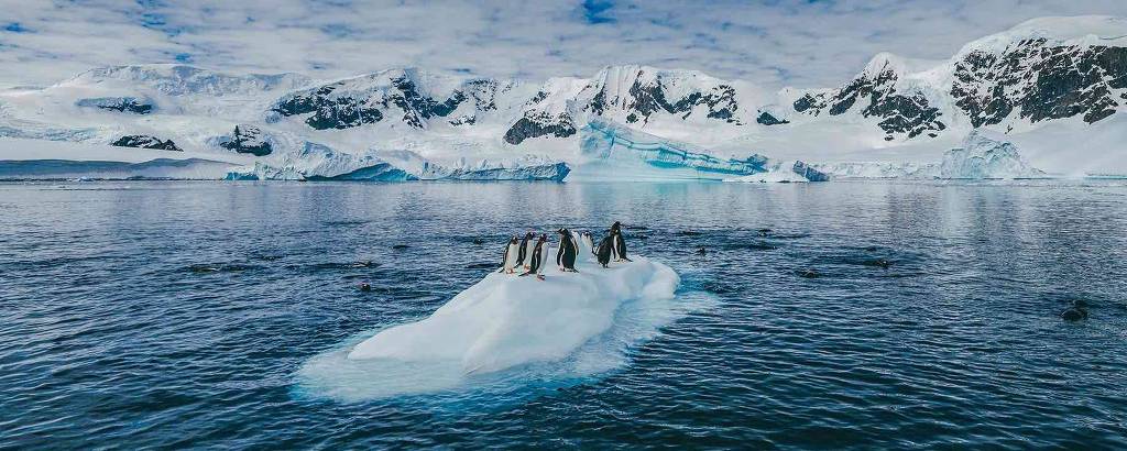 Pinguins em cima de um bloco de gelo na costa da Antártida