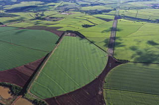 Vista de drone de plantações milho em três estágios