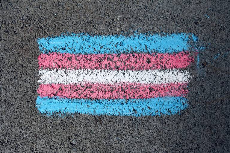 Bandeira do orgulho trans riscada na rua