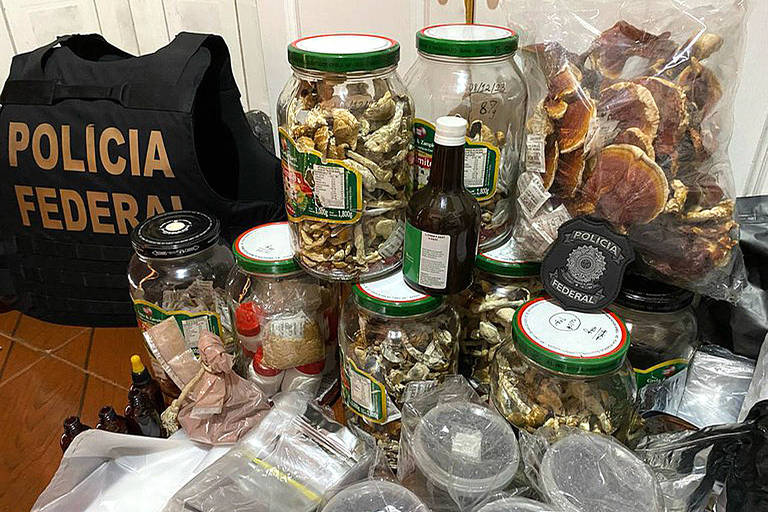 Na foto, uma mesa com potes grandes de vidro e pacotes de plástico contendo cogumelos desidratados. À esquerda, um colete da Polícia Federal.