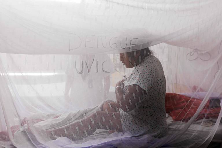 Meu medo era perder meus bebês para a dengue, diz uma grávida no Peru