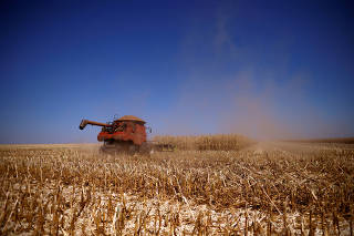 FILE PHOTO: Brazil set to overtake the US this year as the world's top corn exporter
