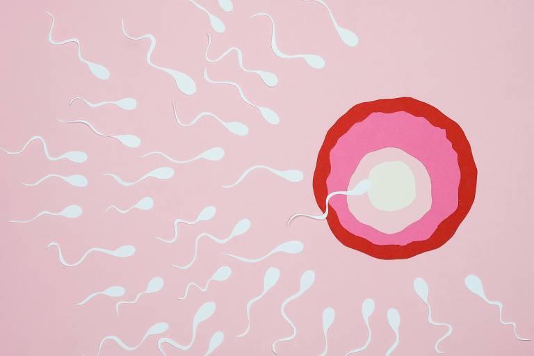 Entenda como o congelamento de embriões desempenha um papel crucial na FIV