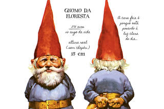 Ilustrações do livro 'Gnomos'