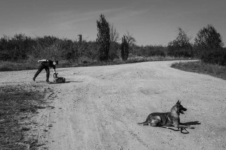 foto em preto e branco de dois cachorros de tamanho grande sentados na estrada de terra, com um homem de preto se inclinando para acariciar o que está mais ao fundo