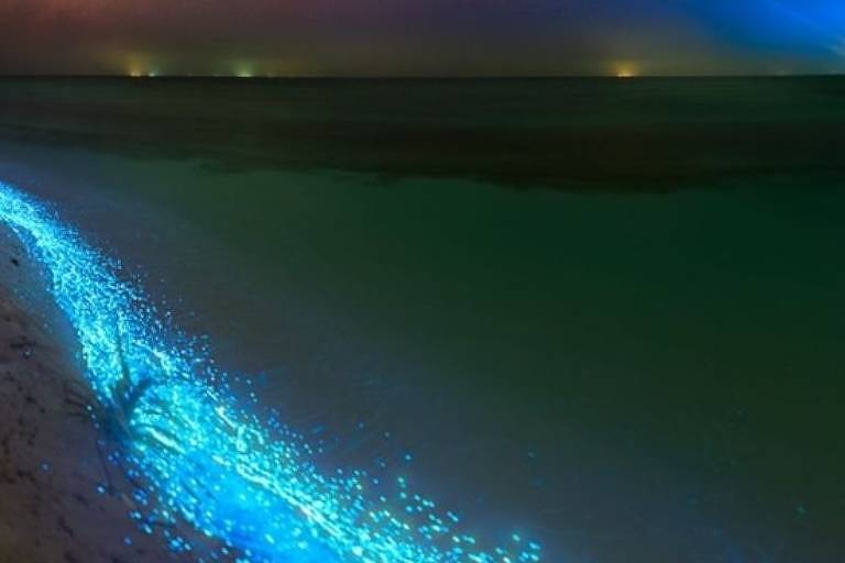 'Mar de estrelas' nas Maldivas é ponto turístico, mas para ver é preciso ter sorte