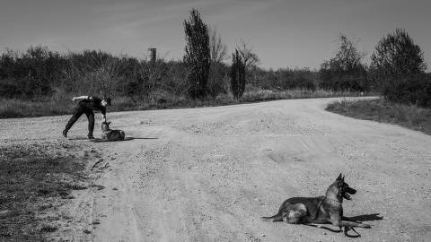 Odessa, Ucrânia - 14/4/2024 - Homem faz carinho em cachorro treinado pelas forças ucranianas para a detecção de minas terrestres em vilarejo próximo à cidade de Kherson, Ucrânia. (FOTO: FRANCISCO PRONER/Folhapress) * VENDA SOMENTE NO BRASIL*