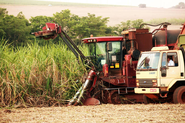 Brasil e Europa discordam sobre uso da terra para produção de biocombustíveis