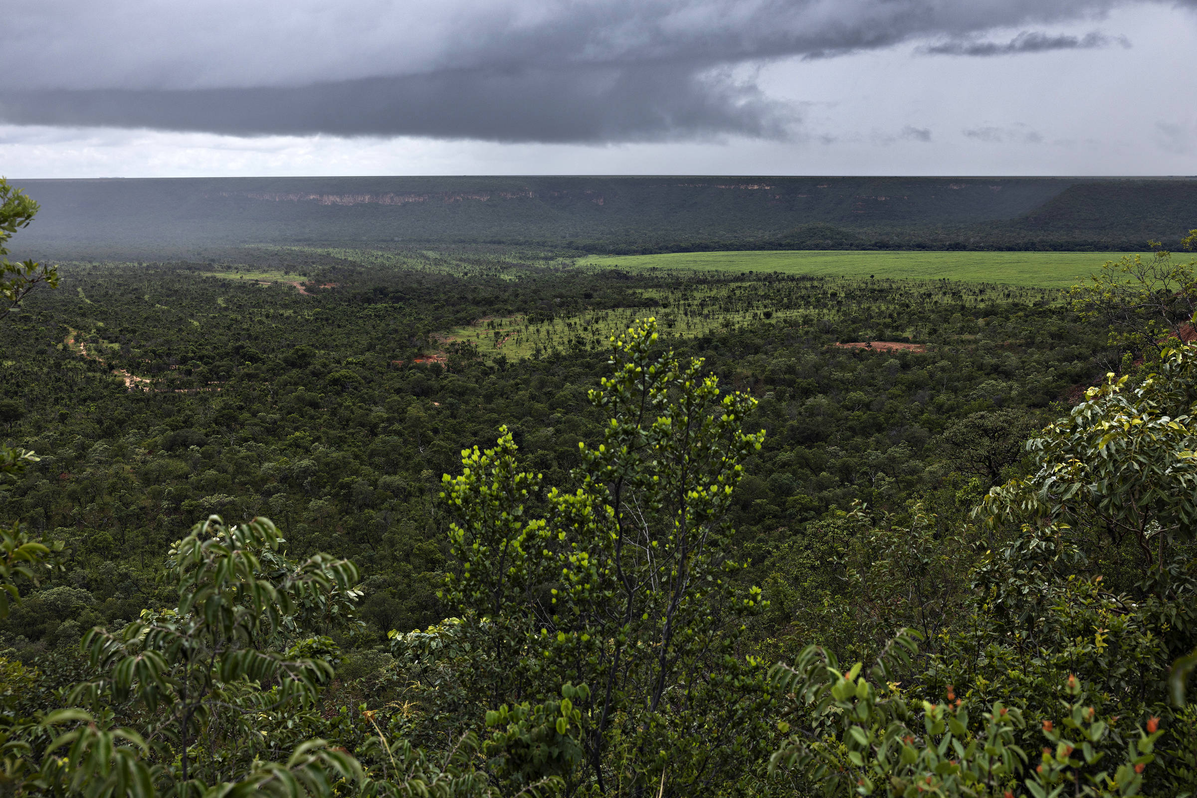 Vista aérea de vale coberto por vegetação nativa, sob o céu nublado