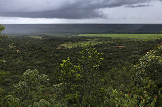 MATOPIBA - ESPECIAL CERRADO