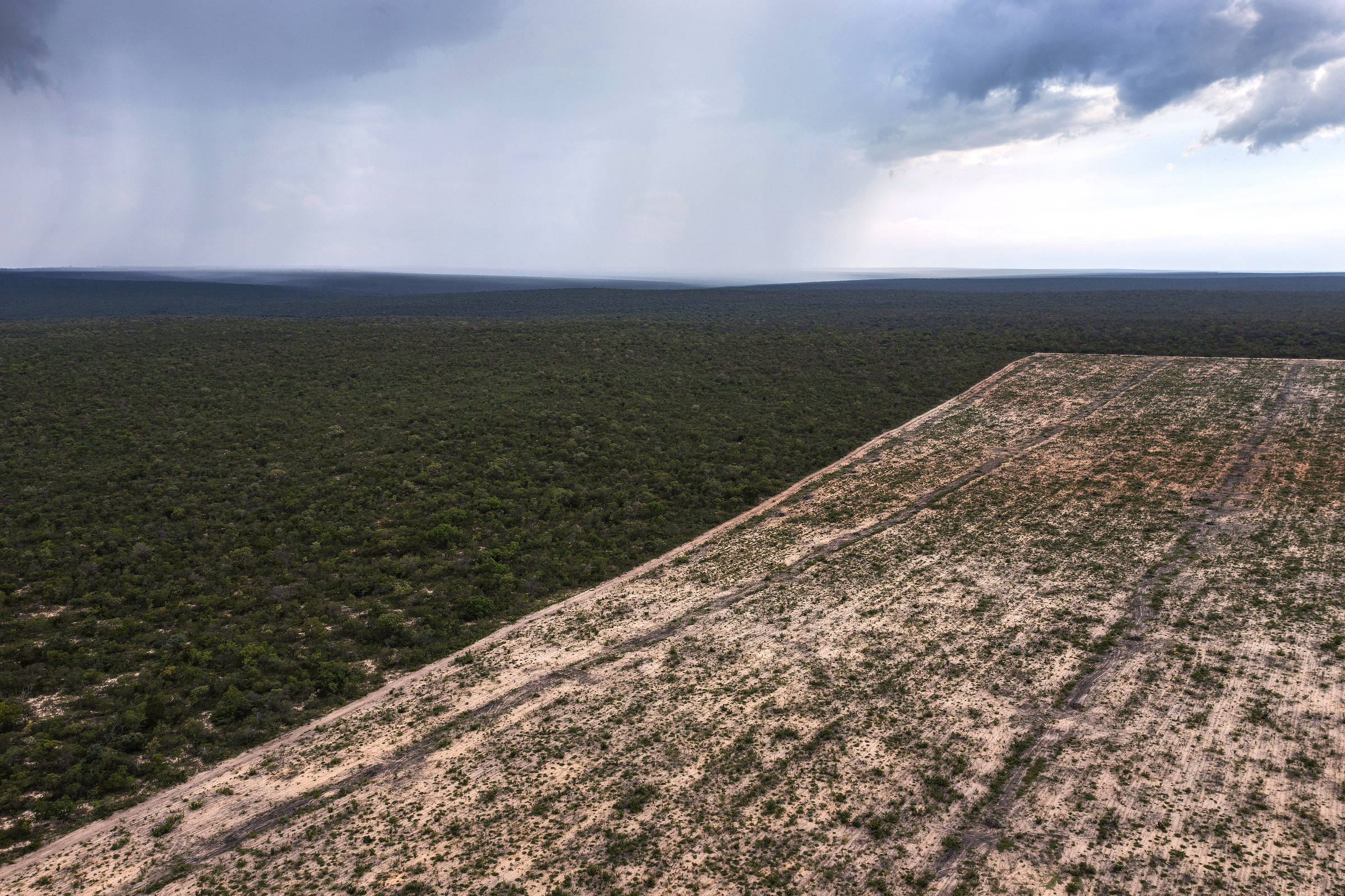 Vista aérea de região de cerrado desmatada, em contraste com a vegetação nativa ao redor