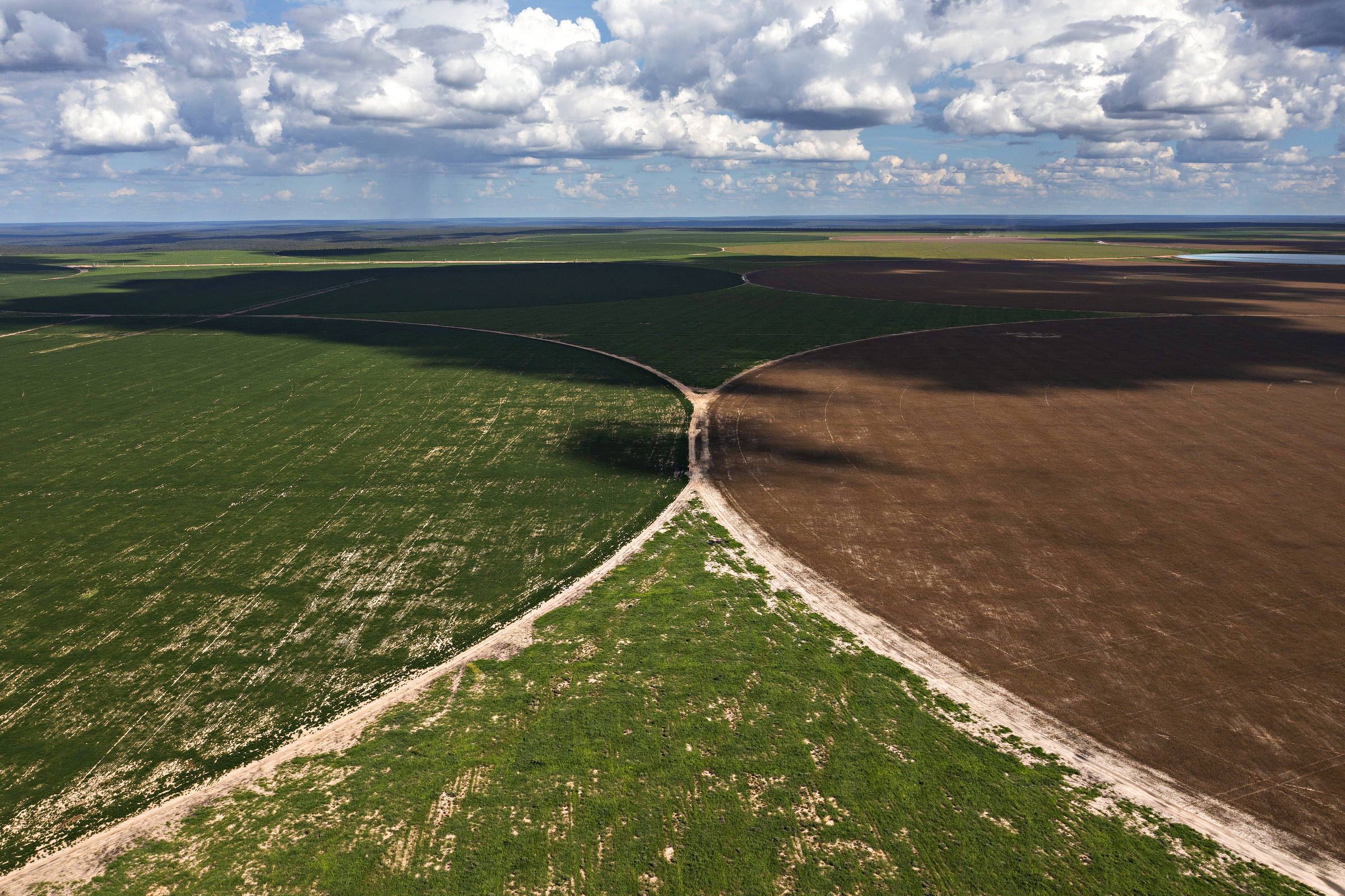 Imagem aérea de plantações irrigadas por pivô central