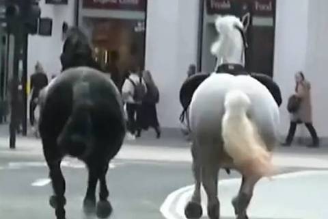 Cavalos saem em disparada pelas ruas de Londres e assustam pessoas