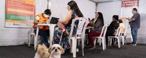 Tutores de pets recebem orientação na primeira edição do Cuida Pet SP, da Prefeitura de São Paulo 