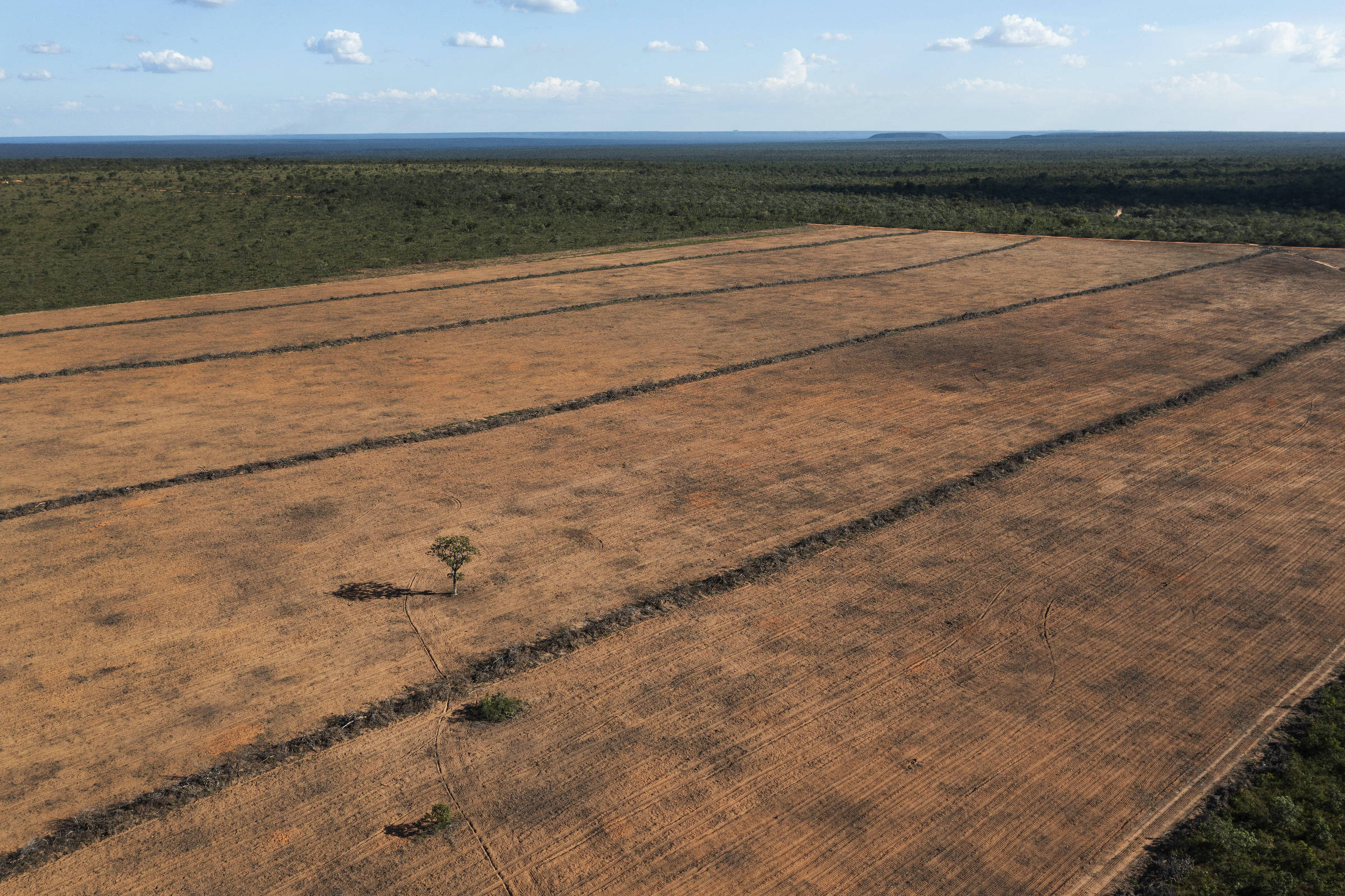 Expansão do agro e do extrativismo elevou emissão de CO2 no Brasil, diz relatório