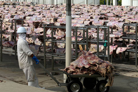 FILE PHOTO: A worker carries salted meat which will be spreaded, dried and then packed at a plant of JBS S.A, the world's largest beef producer, in Santana de Parnaiba, Brazil December 19, 2017. REUTERS/Paulo Whitaker/File Photo ORG XMIT: FW1
