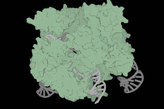 An image provided by Profluent Bio shows the physical structure of OpenCRISPR-1, a gene editor created by A.I. technology from Profluent. (Profluent Bio via The New York Times)
